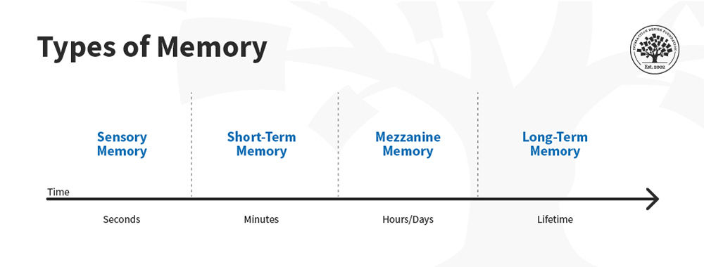 human memory vs computer memory essay