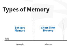 What Types of Memory do we Have? - Article hero image