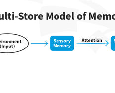 How We Use Long-Term Memory and How it Informs Us Who We Are - Article hero image