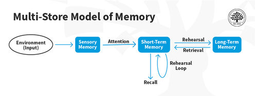 How We Use Long-Term Memory and How it Informs Us Who We Are - Article hero image