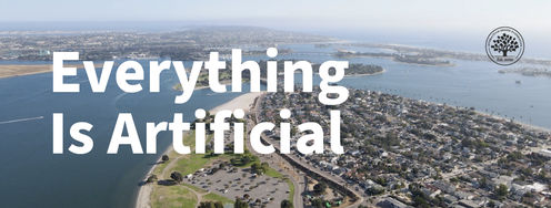 Anything Artificial We Can Design Better - Article hero image