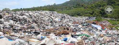 Recycling is Not Enough. Let's Design for Reuse - Article hero image