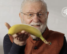 Use Circular Design To Reverse Harm - Article hero image