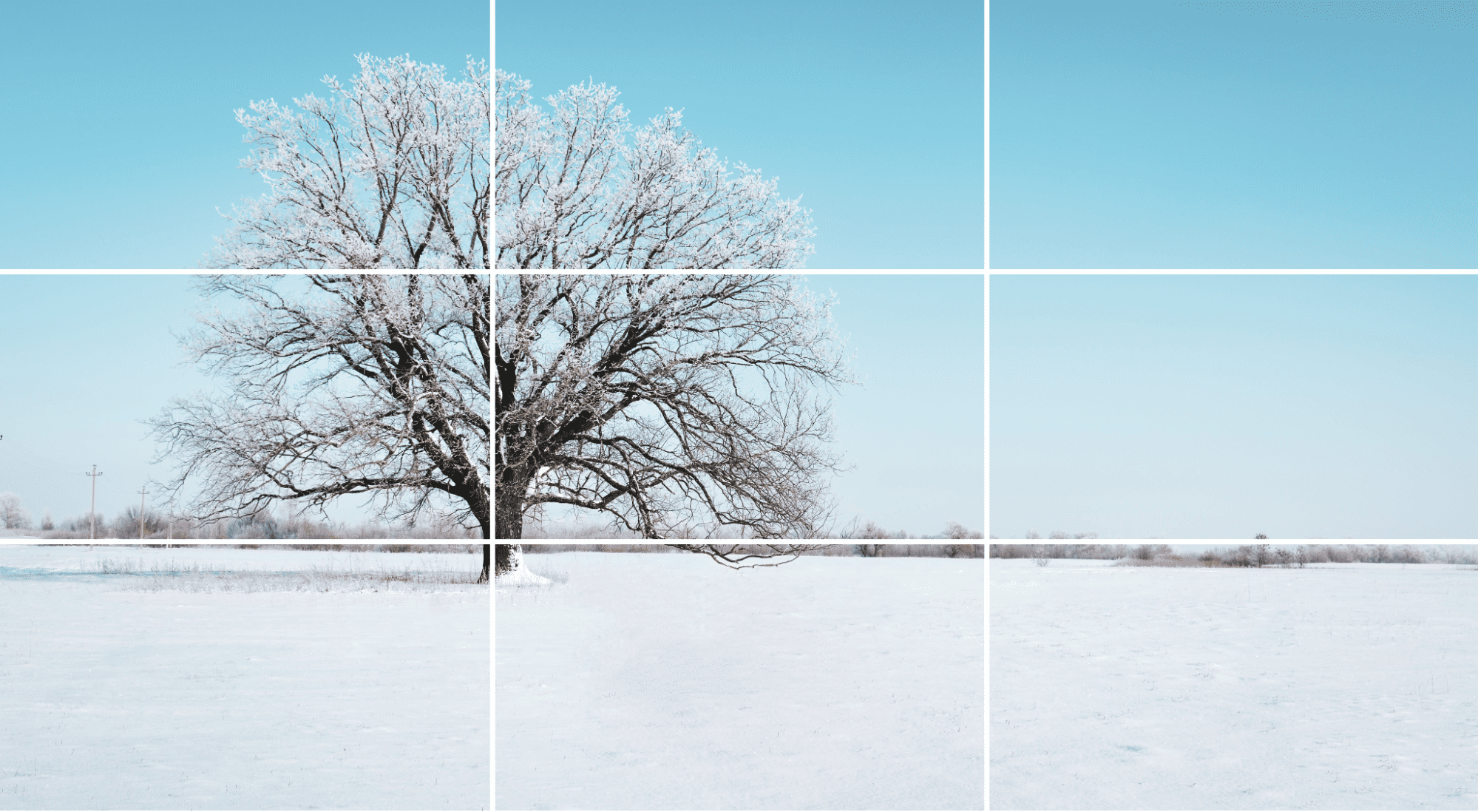 Rule Of Thirds Good And Bad Examples