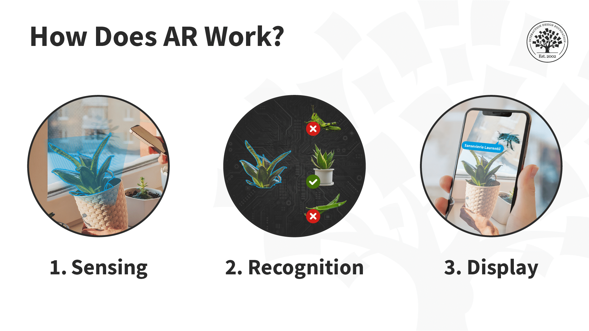 An illustration depicting the three stages of how an AR app works. Step one: sensing. The phone sees a flower with the camera. Step two: Recognition. The phone recognizes the flower as a specific flower by comparing against other flowers. Step three: Display. The Phone screen shows an animated bee flying near the flower with a speech bubble that says 