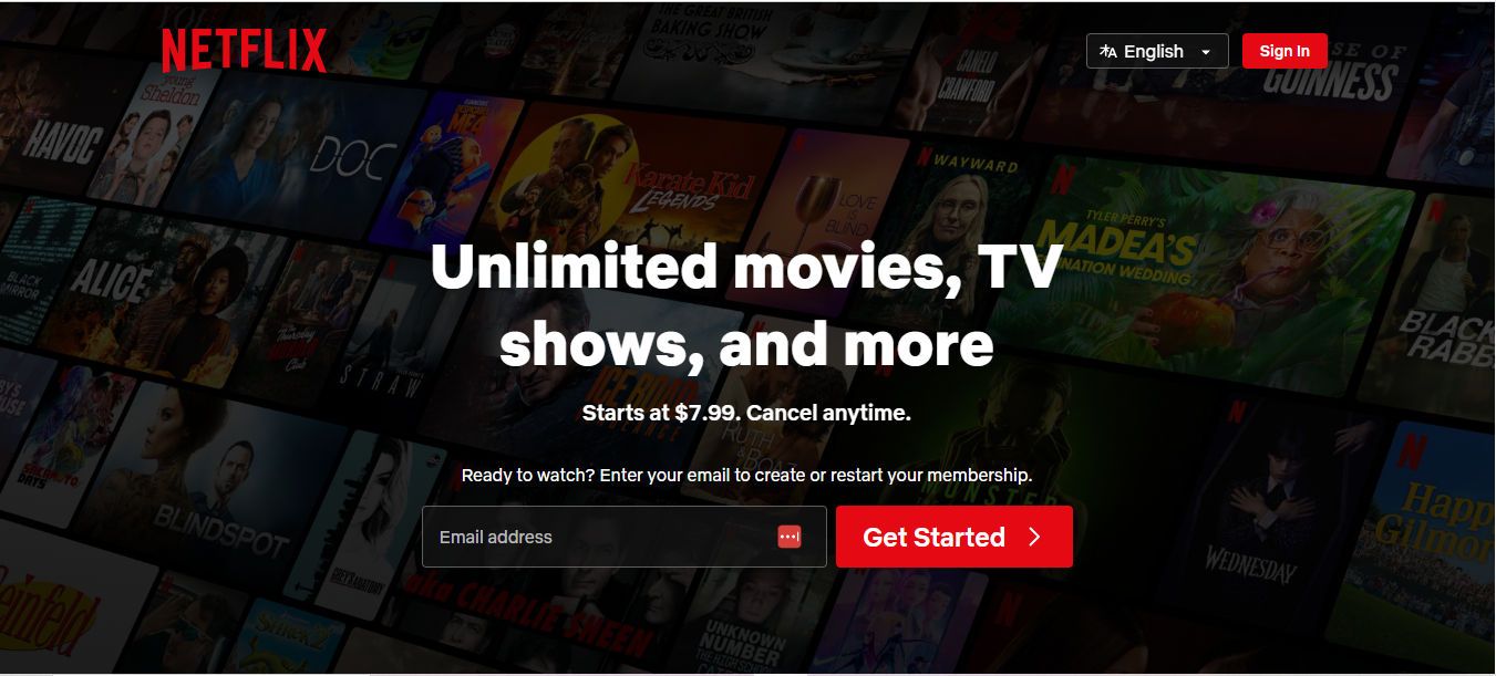 A screenshot from the Netflix site.
