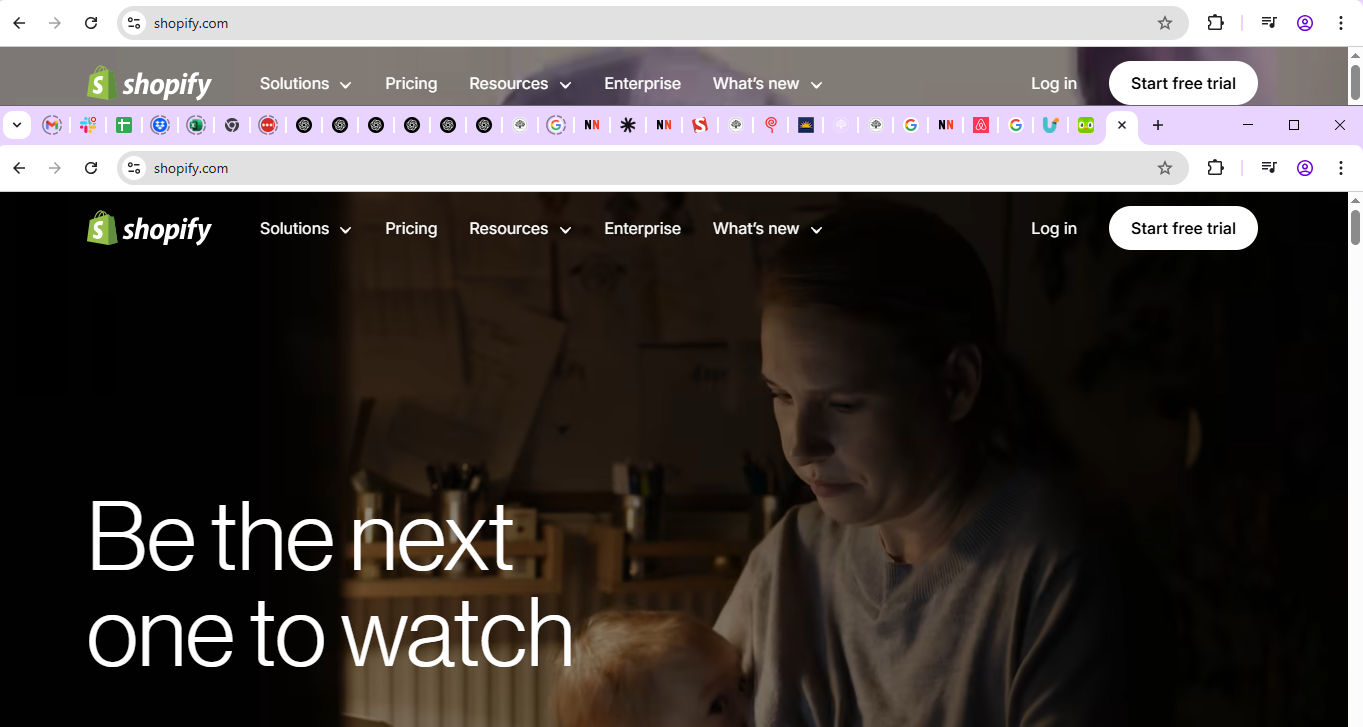 A screenshot from Shopify site.