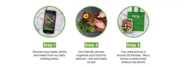 Image showing steps involved in the Sprig service.