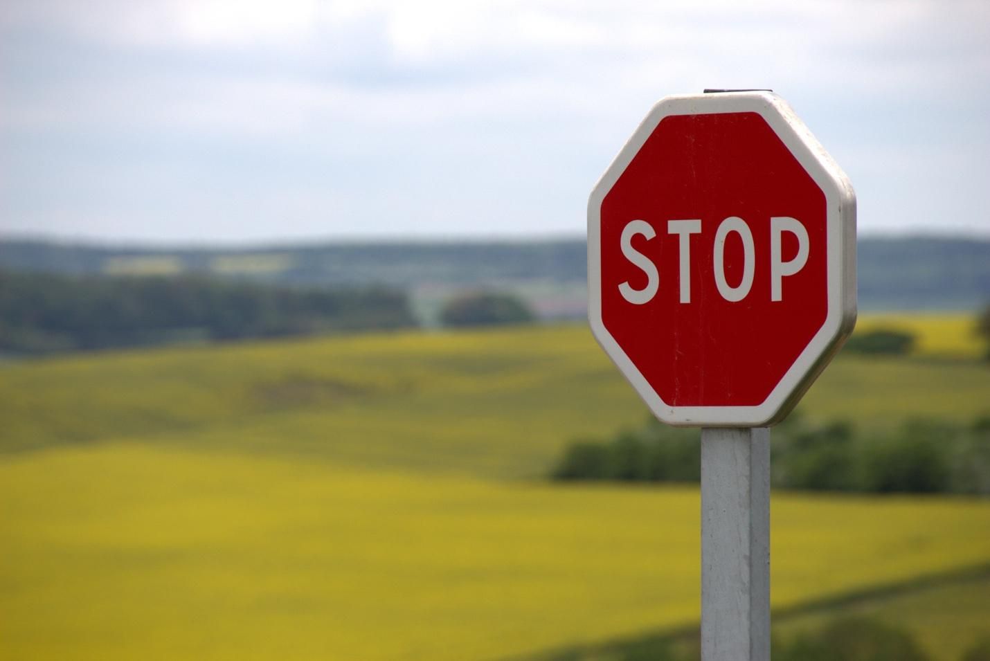 Image depicting a STOP sign on a country road.