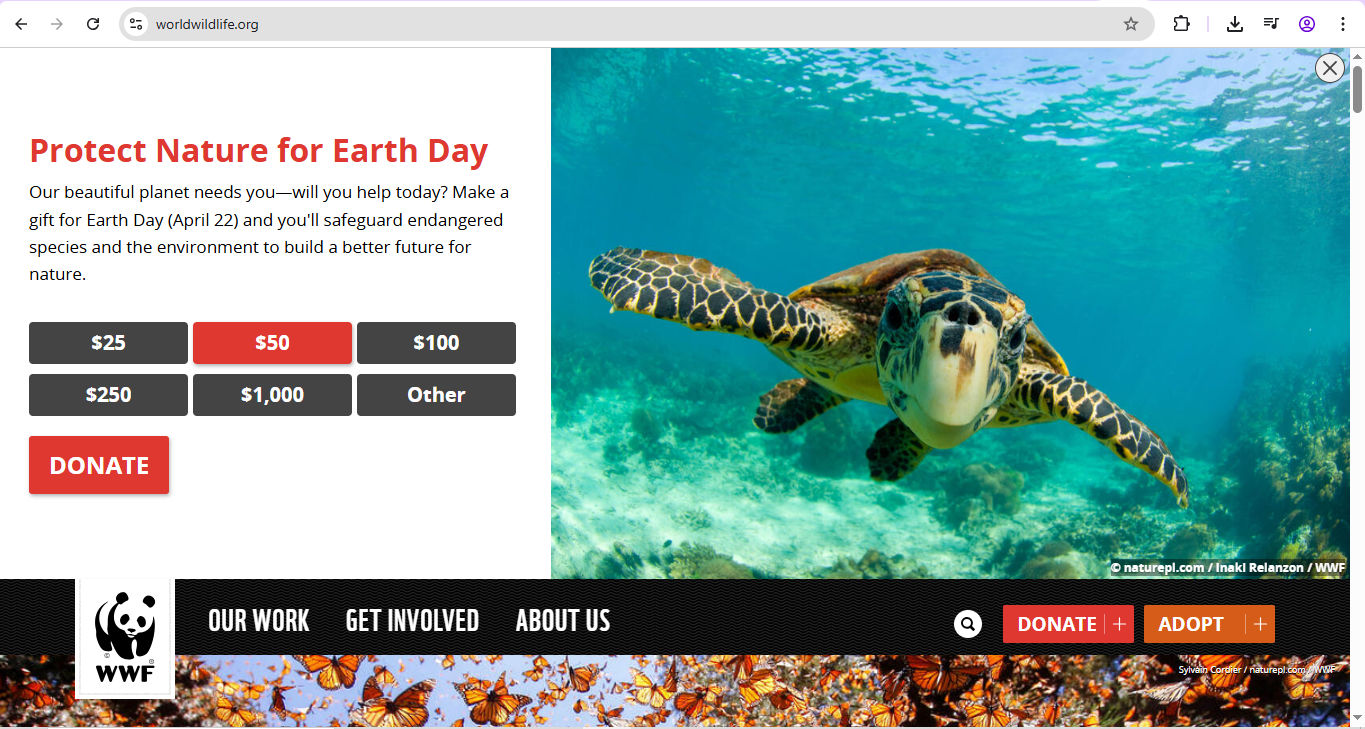 Screenshot of a WWF page showing a turtle and donation options to protect nature for Earth Day.