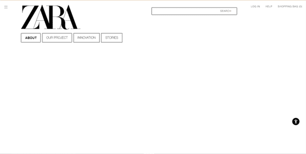 Screenshot from the Zara website.
