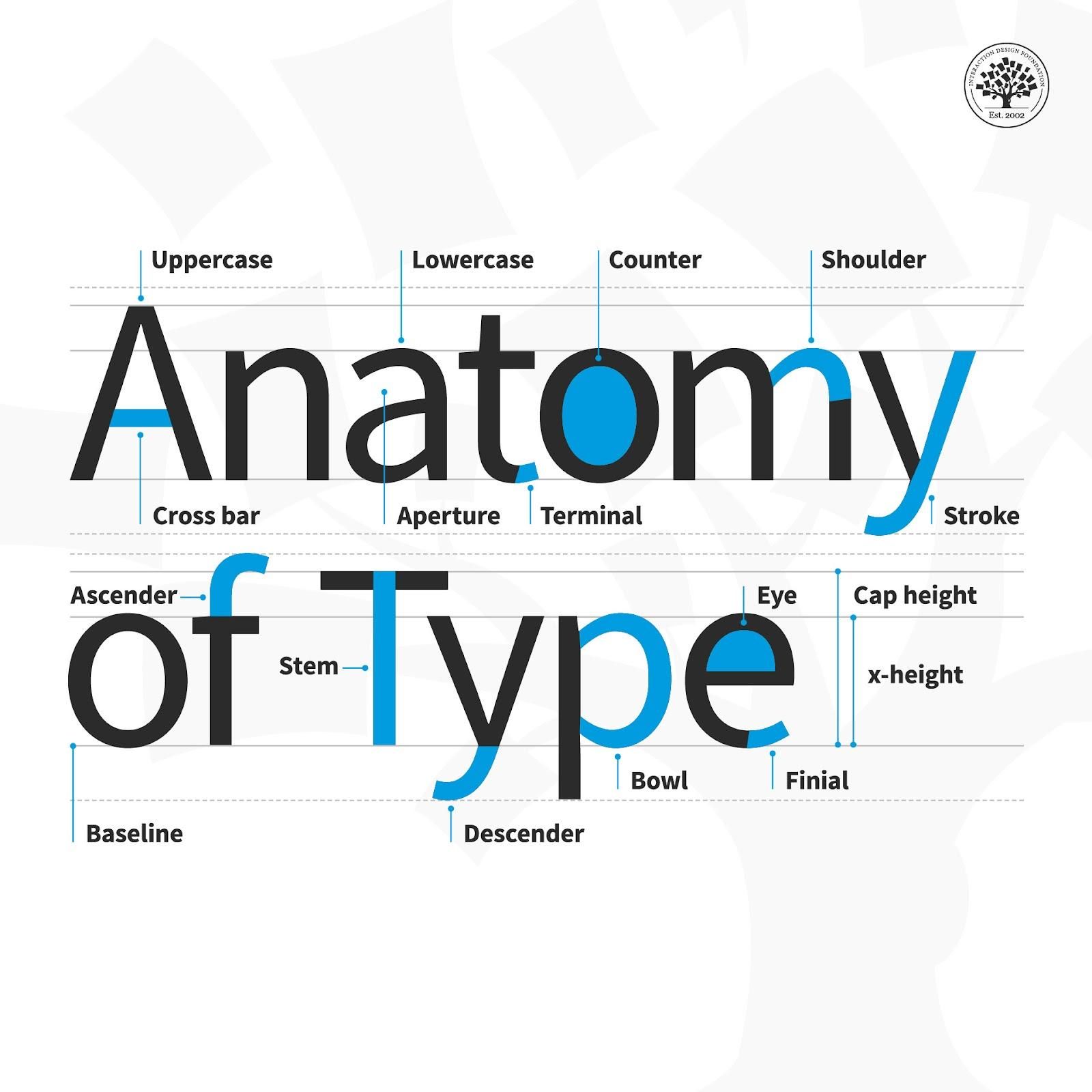 Anatomi Huruf Pada Tipografi Anatomy Of Typography Ty