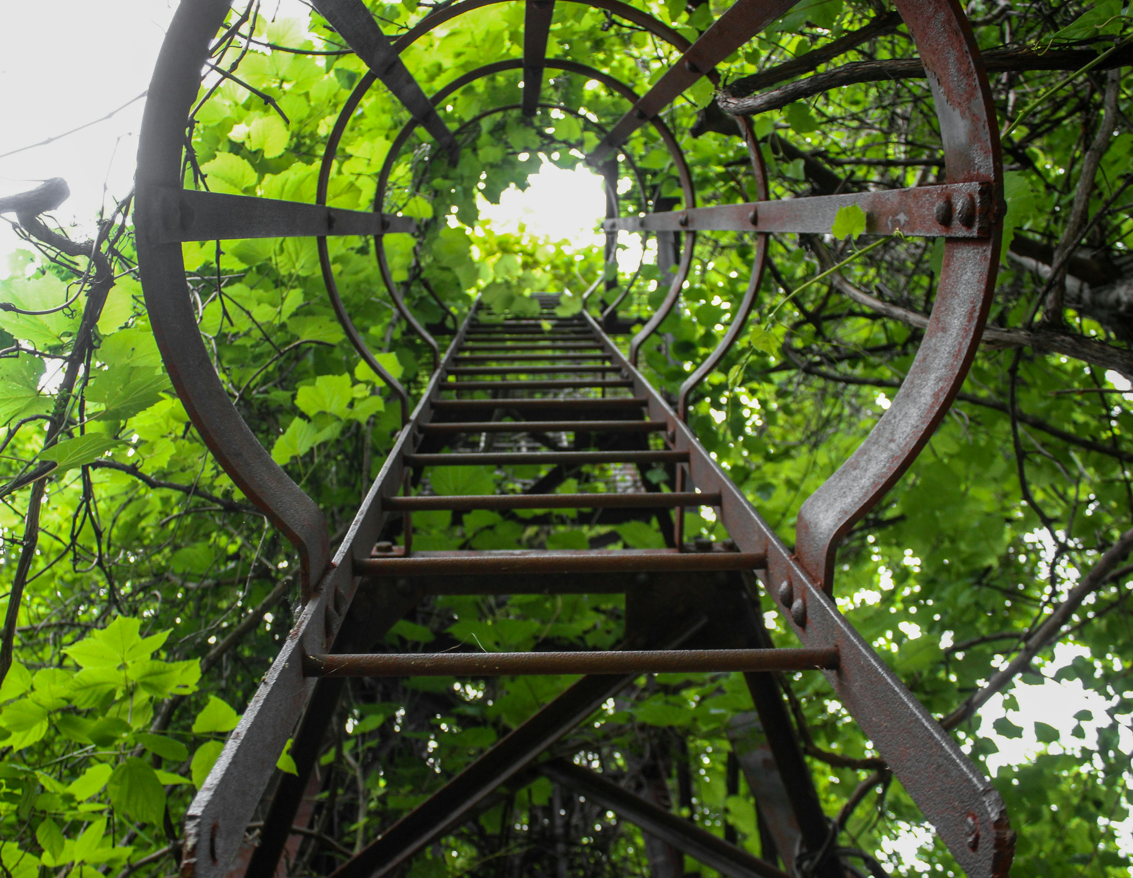 Image of a ladder as a viewer faces from below.