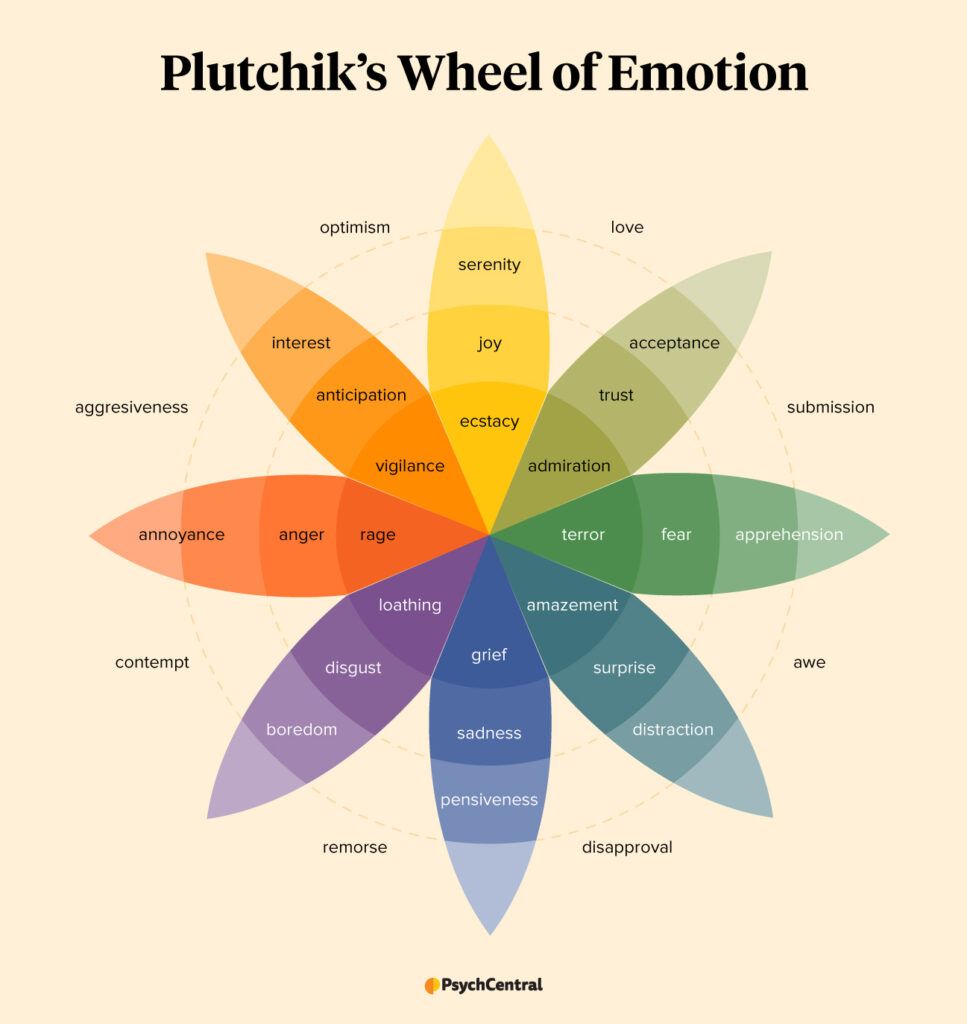 An image showing Plutchik's Wheel of Emotions