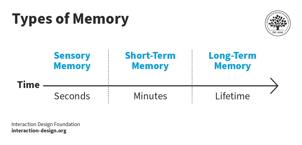 What is Human Memory? — updated 2024 | IxDF