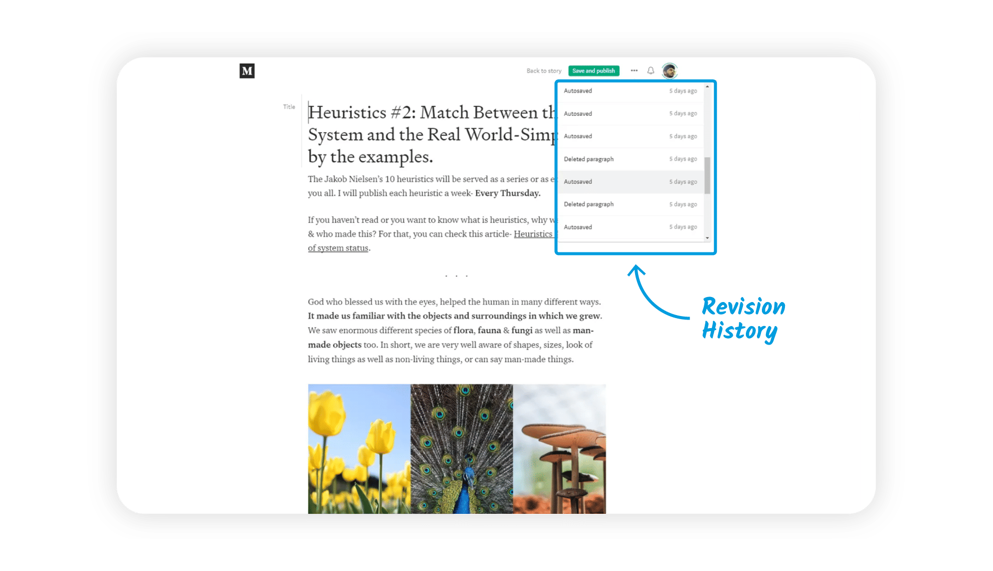 An image of a user's Medium screen.