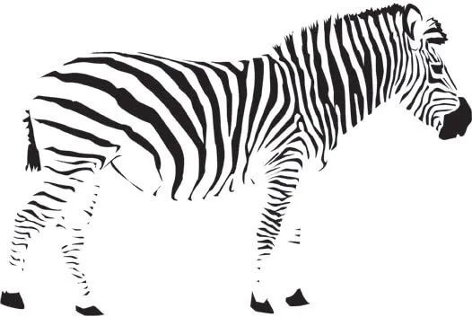 Illustration of a zebra embodying the closure law.