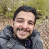 Hadi Attaran's Profile Picture