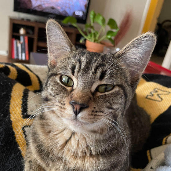 Profile image for Marley Smith