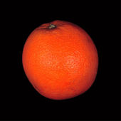 Sky Sun's Profile Picture