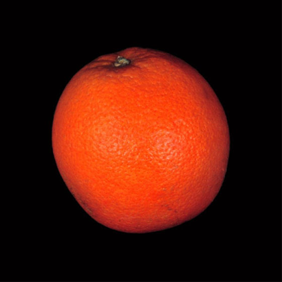 Profile image for Sky S.