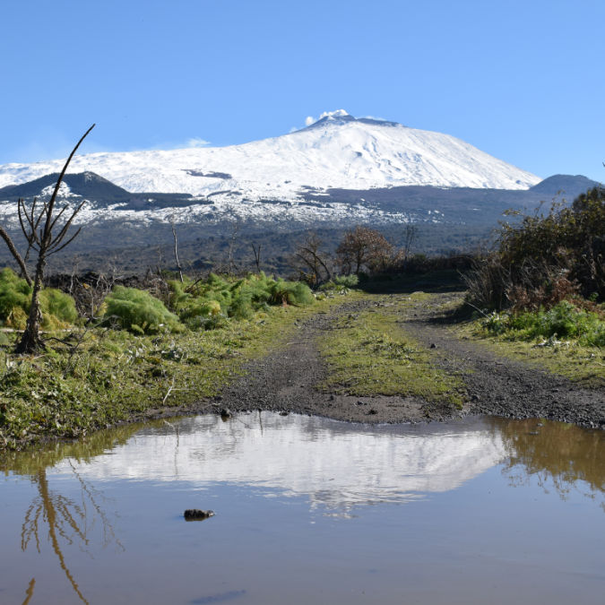 View Giorgio Pulvirenti