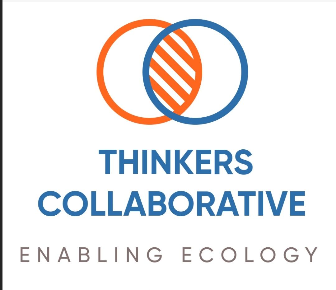 Design thinking, design collaboration, Thinkers Collaborative, social Thinkers