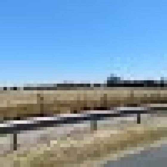 Profile image for Gustavo P.