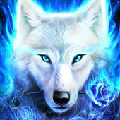 Marko Markovic's Profile Picture