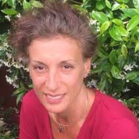 Profile image for Vasi D.