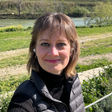 Profile image for Gabriela Bosetti