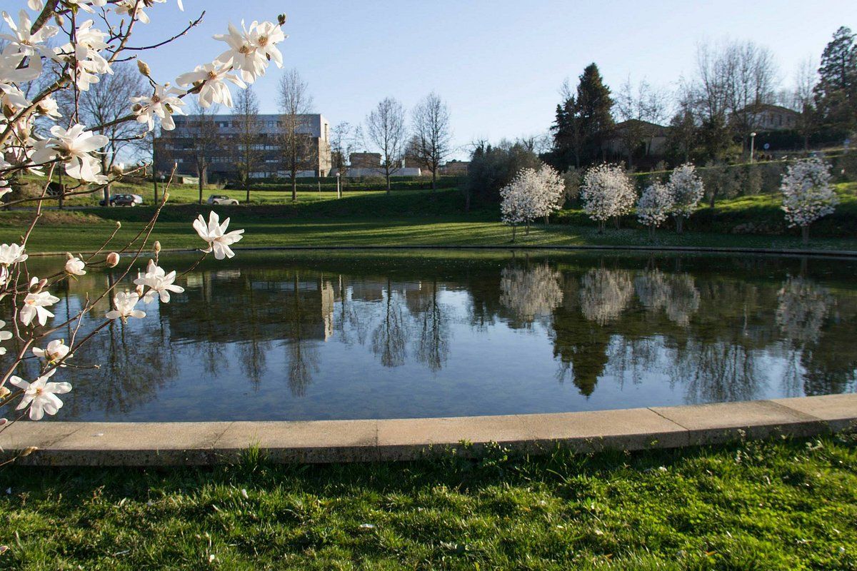UTAD Campus