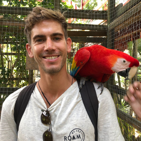 Profile image for Roberto S.