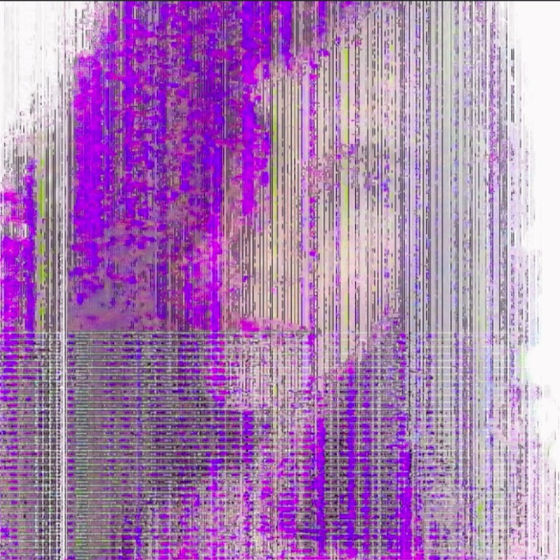 Profile image for Pamela P.