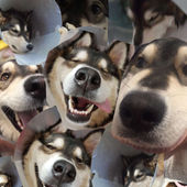 Michelle Huynh's Profile Picture