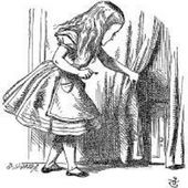 Roberta McDonnell's Profile Picture