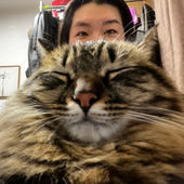 Tiaoling Wang's Profile Picture