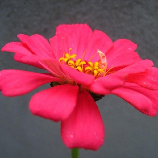 View Arunima Shekhar