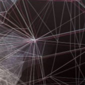 Markus's Profile Picture