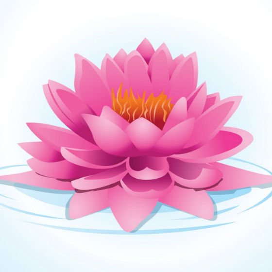 Profile image for Noumi N.