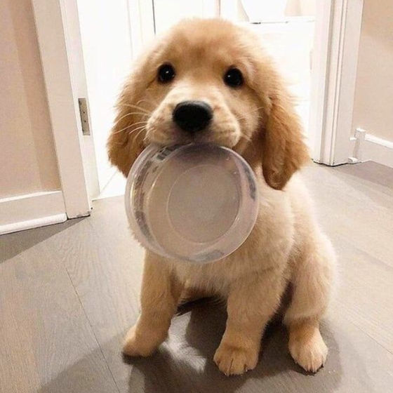 Profile image for Yulia K.