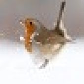 Kate Fisher's Profile Picture