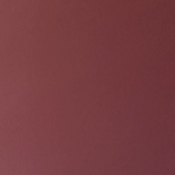 Profile image for Lara S.