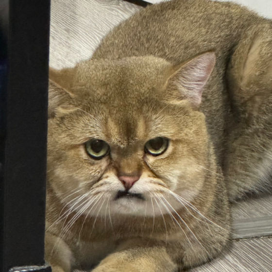 Profile image for Saiparn P.