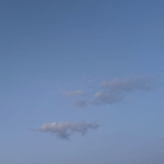 Profile image for Raime C.