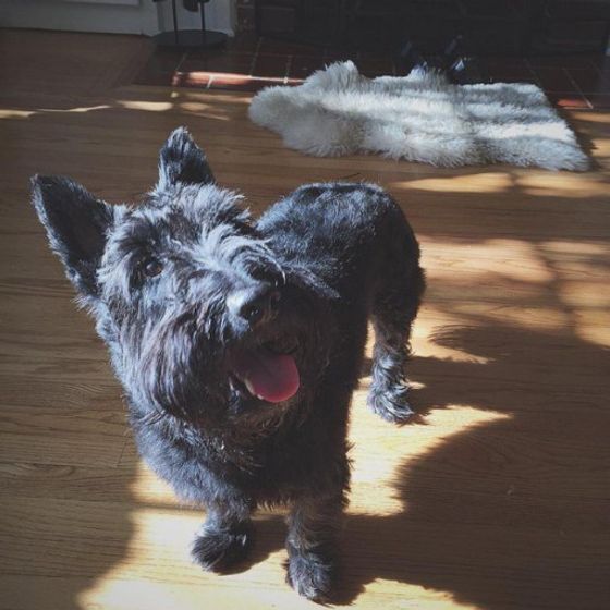 Profile image for Jennifer Z.