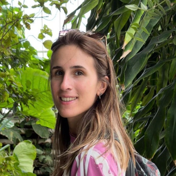 Profile image for Ailen P.