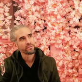 Pierre Montferrat's Profile Picture