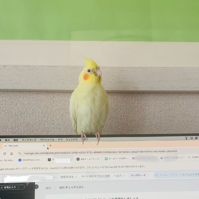 View Junko Matsumoto