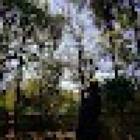 Profile image for ADITI H.